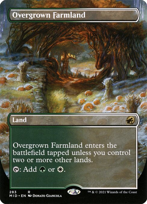 Overgrown Farmland 283