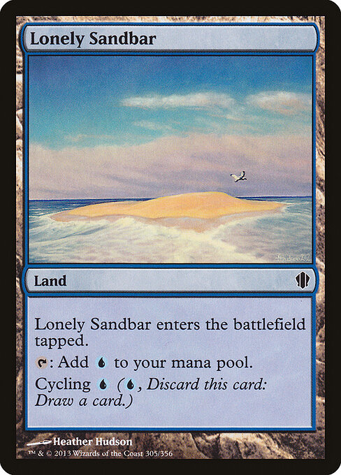 Lonely Sandbar 305