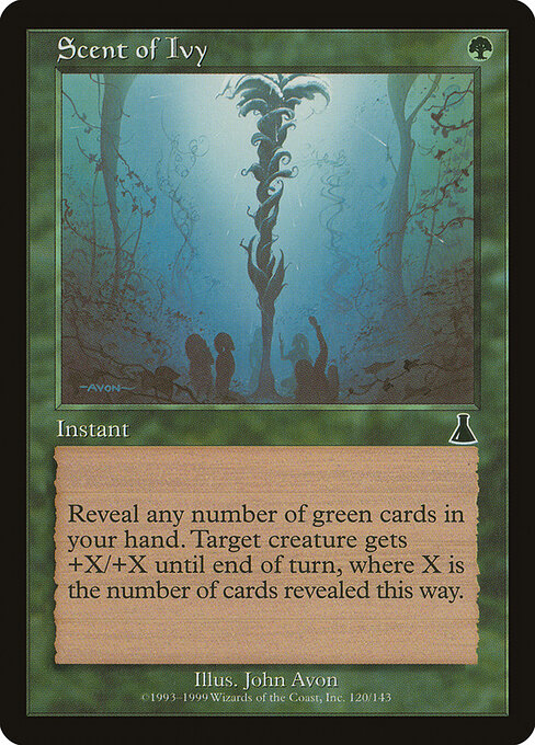 Scent of Ivy 120