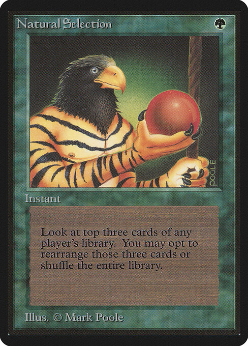 Natural Selection 213