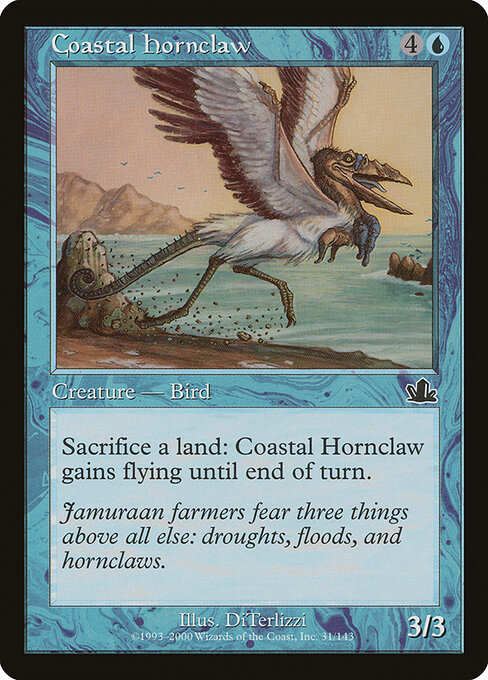 Coastal Hornclaw 31