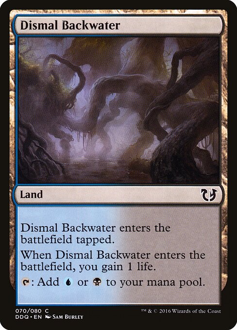 Dismal Backwater 70