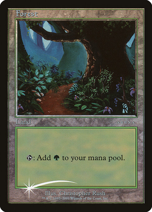 Forest 11