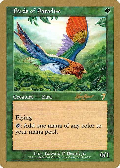 Birds of Paradise shh231