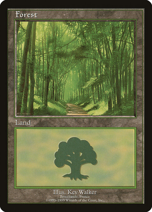 Forest 6