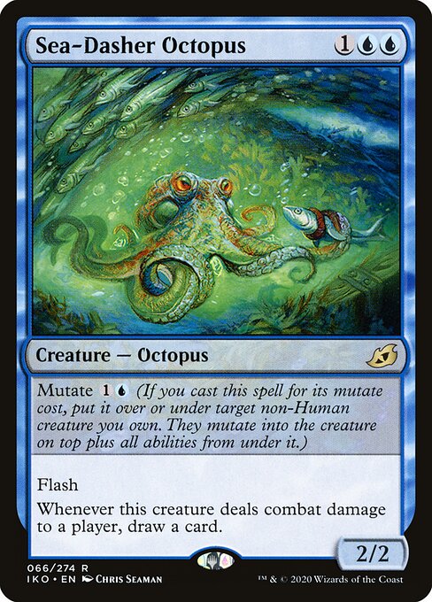 Sea-Dasher Octopus 66