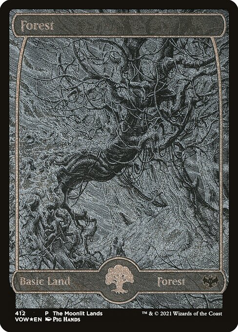 Forest 412