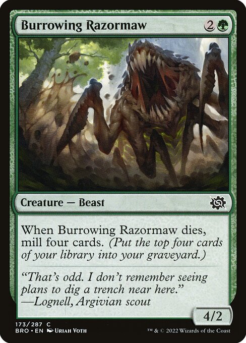 Burrowing Razormaw 173