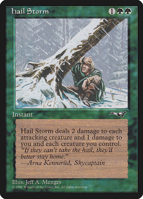 Hail Storm 95