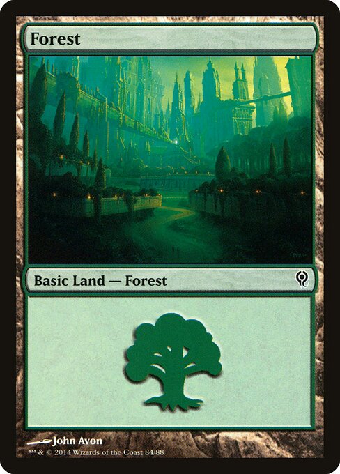 Forest 84