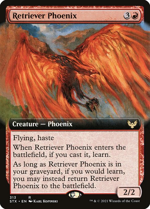 Retriever Phoenix 313