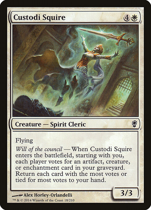 Custodi Squire 18