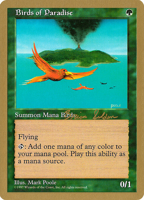 Birds of Paradise bs280