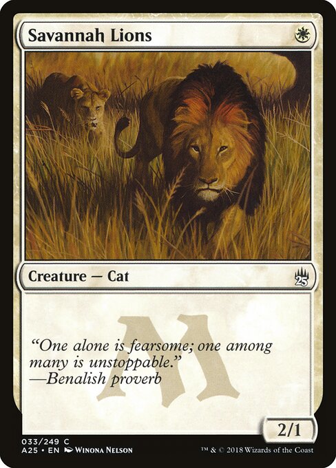 Savannah Lions 33