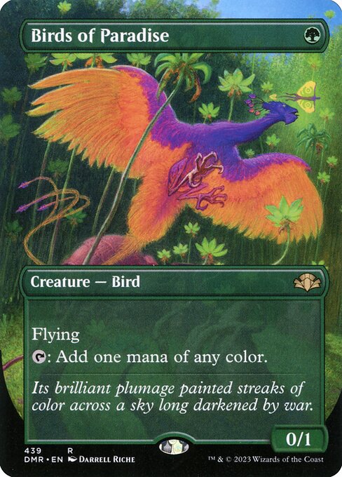 Birds of Paradise 439