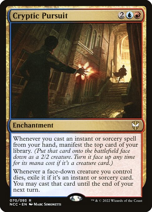 Cryptic Pursuit 70