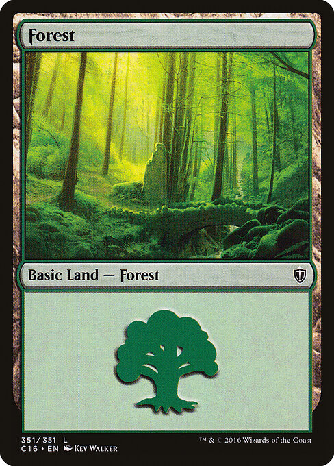 Forest 351