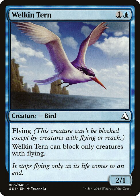 Welkin Tern 5