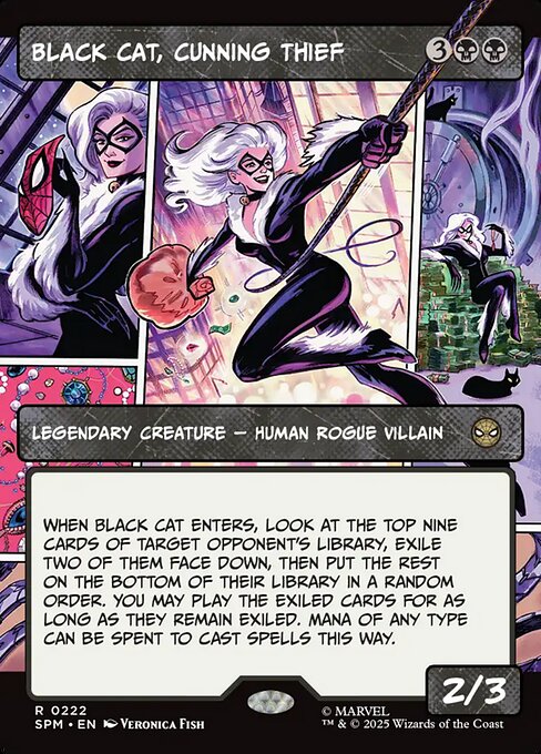 Black Cat, Cunning Thief 222