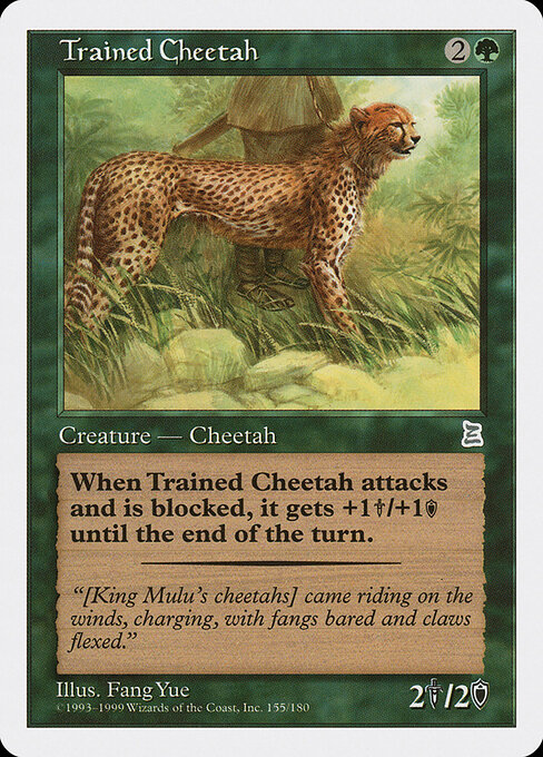 Trained Cheetah 154