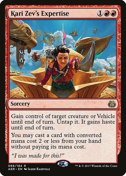 Kari Zev's Expertise 88