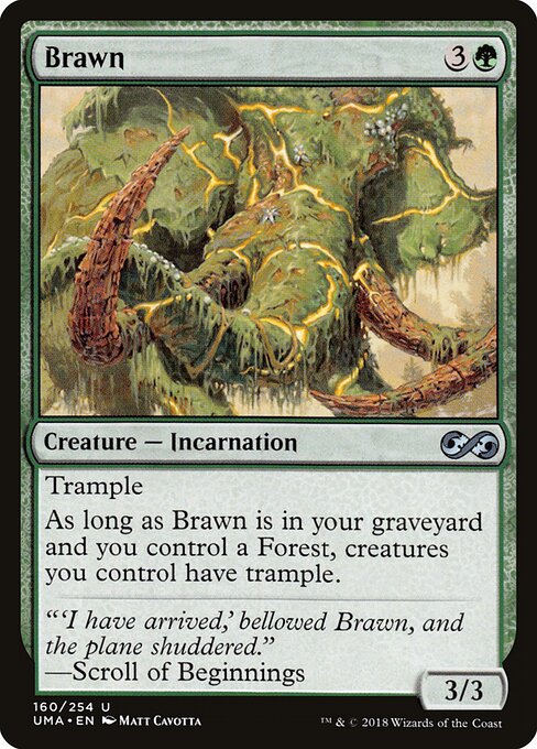 Brawn 160