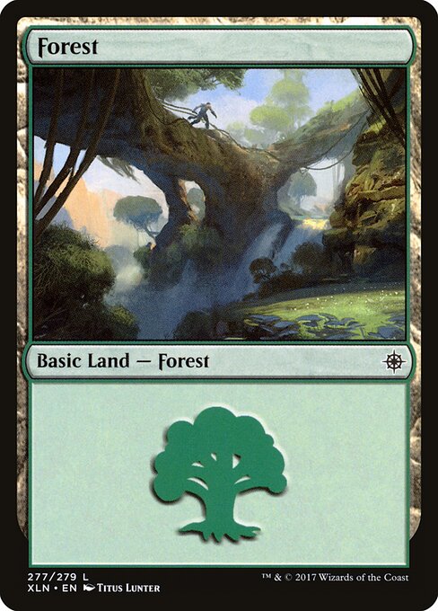 Forest 277