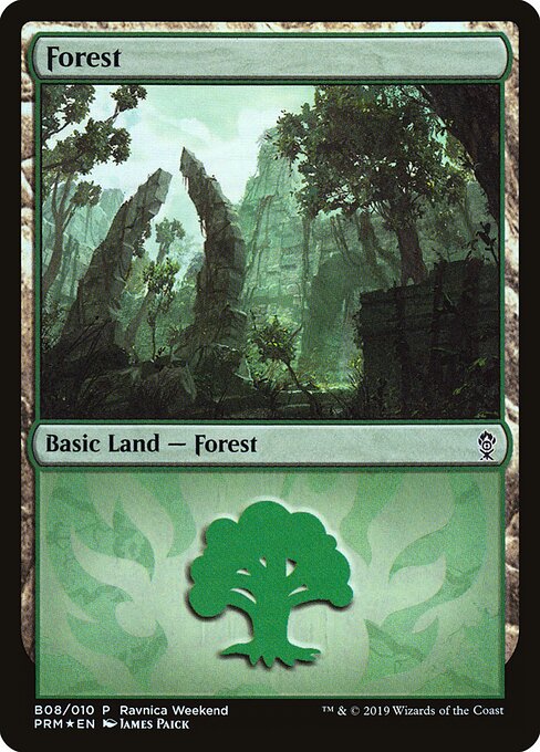 Forest B08