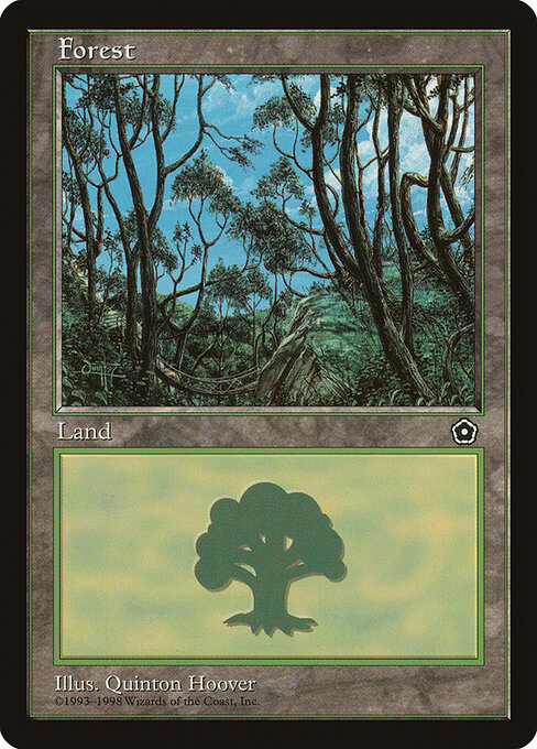 Forest 165