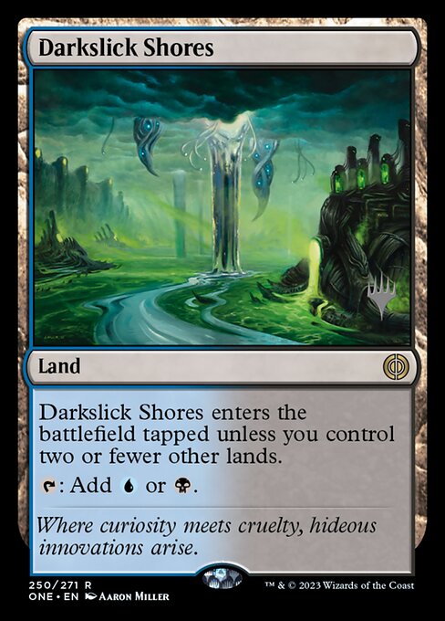 Darkslick Shores 250p