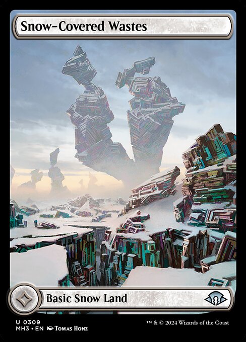 Snow-Covered Wastes 309