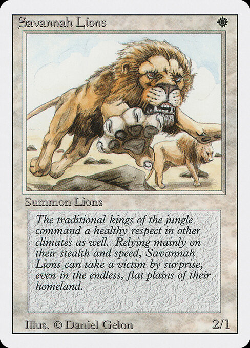 Savannah Lions 39