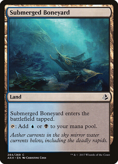 Submerged Boneyard 284
