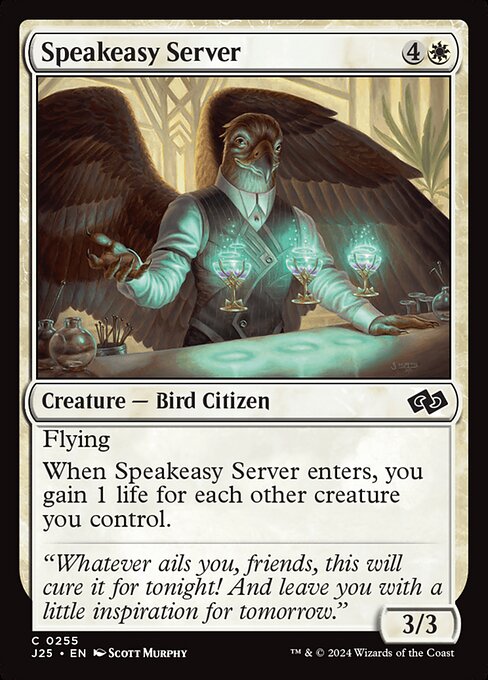 Speakeasy Server 255