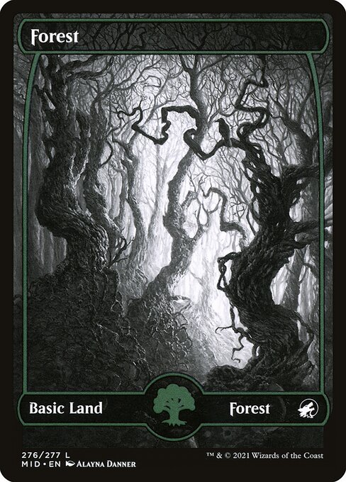 Forest 276
