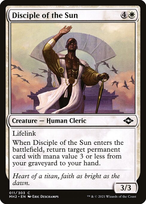 Disciple of the Sun 11