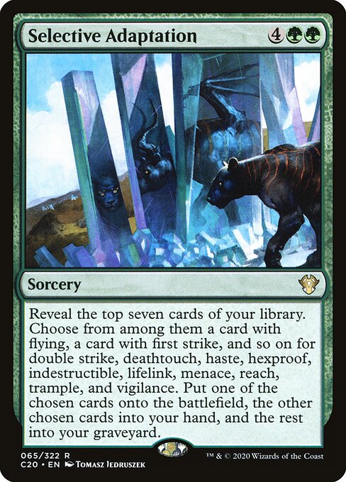 Selective Adaptation 65