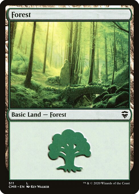 Forest 511