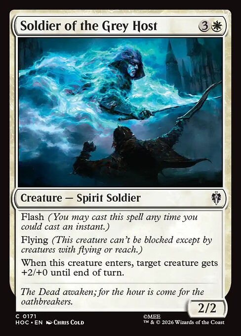 Soldier of the Grey Host 171