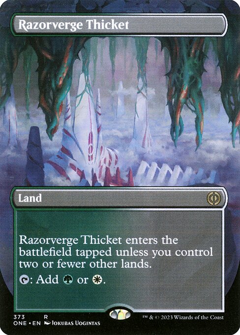 Razorverge Thicket 373