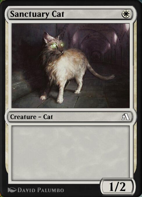 Sanctuary Cat 8