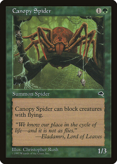 Canopy Spider 217