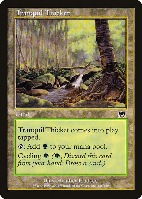 Tranquil Thicket 326