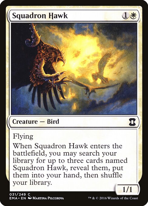 Squadron Hawk 31