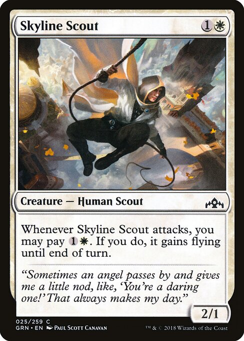 Skyline Scout 25