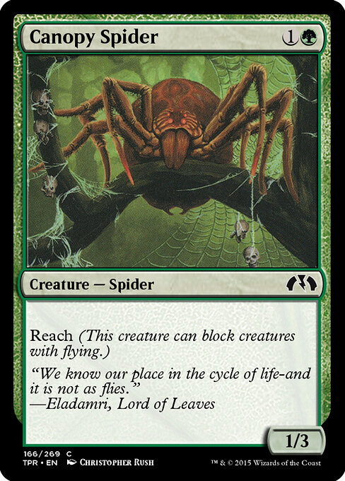 Canopy Spider 166