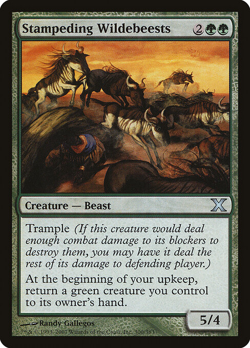 Stampeding Wildebeests 300