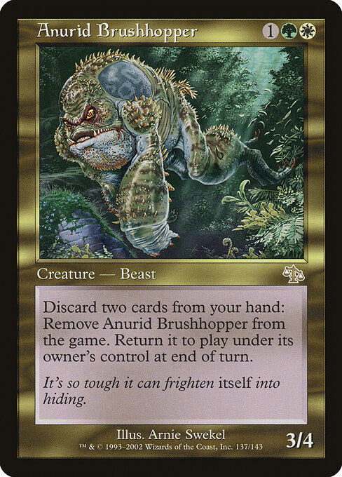 Anurid Brushhopper 137