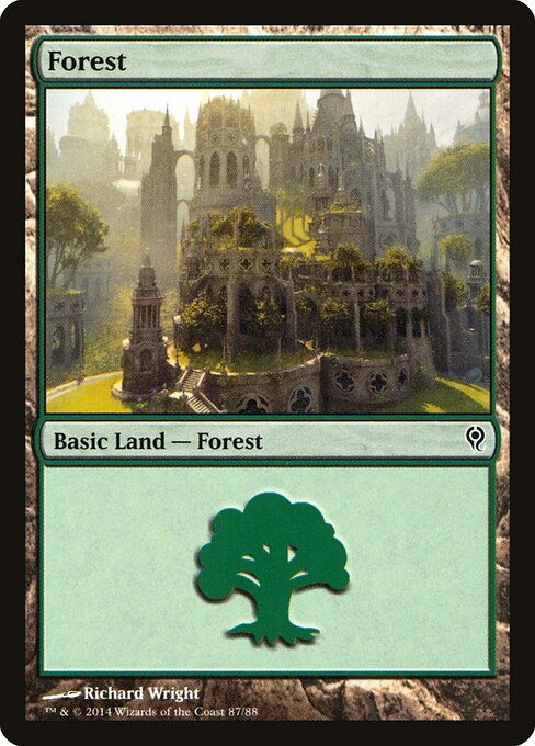 Forest 87