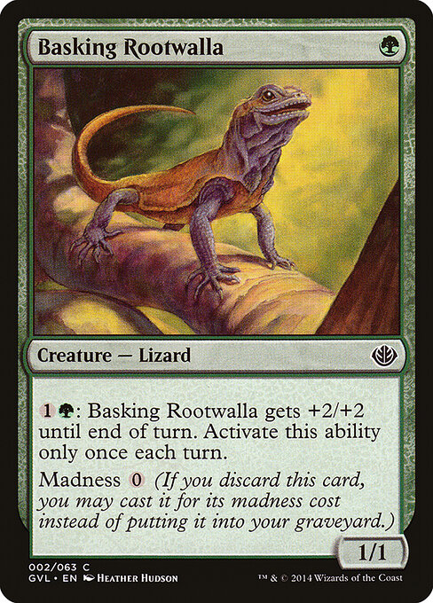 Basking Rootwalla 2